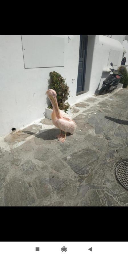 Petra Pelikan Mykonos Town 外观 照片